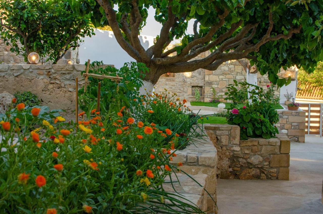 Villa Trouli Rokka House Kíssamos Esterno foto